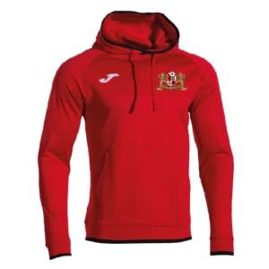 Sweat-shirt à capuche Combi